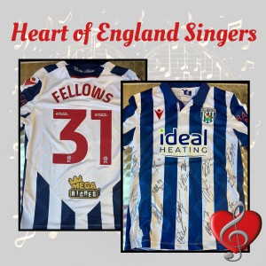 Tom Fellows Match-Worn & Signed West Bromwich Albion Shirt - Selling for Charity for sale on Ebay