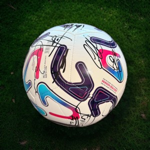 Ipswich Town Signed Football By Squad 2026/27 COA inc for sale on Ebay