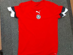 Retro Puma celtic eire ireland  Mens Cliftonville FC T Shirt training Top M red for sale on Ebay