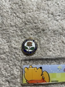 Blackburn Rovers FC Enamel Badge/Pin for sale on Ebay