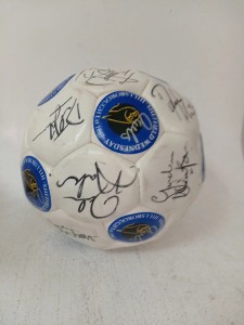 Sheffield Wednesday FC Multi Signed Football Owls 1990s Carlton Palmer for sale on Ebay