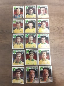 norwich city 1995 football stickers  for sale on Ebay