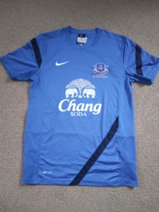 Everton FC Training Shirt - Size Small - Nike Dri-Fit - In Good Used Condition. for sale on Ebay