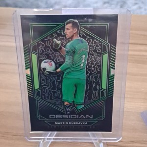 panini obsidian 2019-20 Martin Dubravka Newcastle United /25 for sale on Ebay