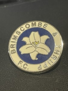 BRIMSCOMBE & THRUPP FC - NON LEAGUE - BADGE for sale on Ebay