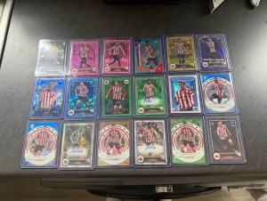 Topps Merlin Premier League Sunderland 18-Card Lot Autos & Parallels bundle for sale on Ebay