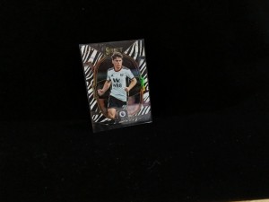 Panini Select Football Cards Numbered 13/25 Daniel James Fulham Zebra Print for sale on Ebay