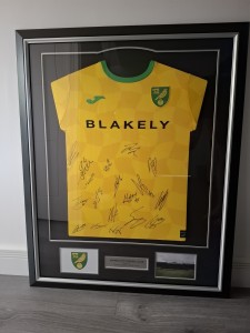 Norwich City 24/25 Framed Signed Team Shirt for sale on Ebay