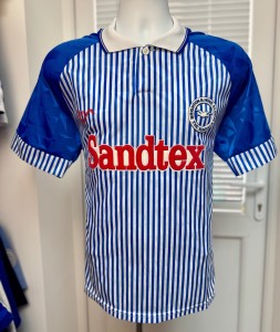 Brighton & Hove Albion Football Shirt 1993 Top Ribero Pinstripe Soccer Jersey for sale on Ebay