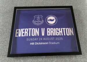 Framed Rare Stadium Flag Everton v Brighton - 1st PL Game at Hill Dickinson for sale on Ebay
