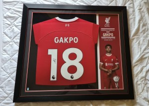 Cody Gakpo Liverpool Framed Signed Shirt. Club COA. FREE DELIVERY. for sale on Ebay