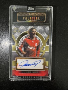 Topps Palatial Liverpool FC Fernando Torres /10 Auto Palatial Pride Auto  for sale on Ebay