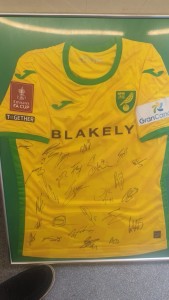 Framed Squad Signed 2024/2025 Home Shirt Norwich City Squad Shirt for sale on Ebay