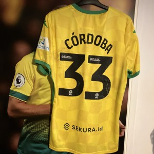Jose Cordoba Norwich City Match Worn Shirt Panama International 24/25 Season for sale on Ebay