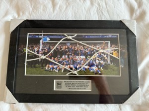 Ipswich Town 23/24 Promotion Goal Net Limited Edition framed for sale on Ebay