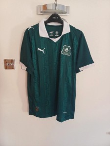 Plymouth Argyle home 2025/26 top size l for sale on Ebay