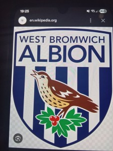 West Bromwich Albion V Oxford United for sale on Ebay