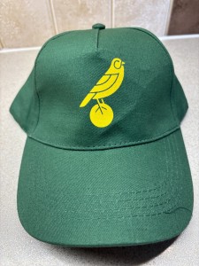 Norwich City FC baseball cap for sale on Ebay