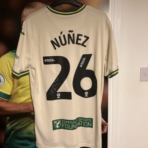 Marcelino Nunez Norwich City Match Worn Shirt 24/25 Season for sale on Ebay
