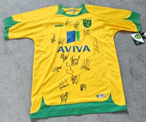 Norwich City Signed Football Shirt size Medium for sale on Ebay