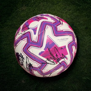 Wolverhampton Wanderers Signed Football By Squad 2025/26 COA inc   Wolves for sale on Ebay