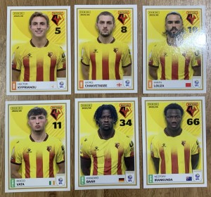 6 x PANINI EFL 25/26 FOOTBALL STICKERS - WATFORD for sale on Ebay