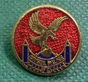 RARE England Crystal Palace FC Football Club Enamel Pin Badge for sale on Ebay