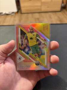 Donruss Elite Premier League Teemu Pukki /49 Norwich for sale on Ebay