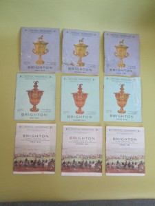 NINE - BRIGHTON RACES - HORSES - PROGRAMMES FROM 1960S - 3 SUMMER MEETINGS for sale on Ebay