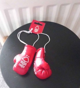 Nottingham Forest Boxing Gloves for sale on Ebay