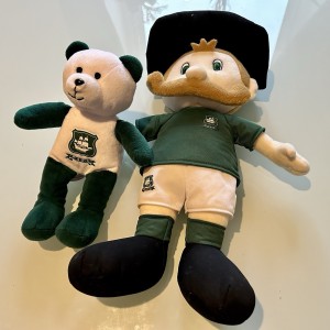 Pilgrim Pete Official Plymouth Argyle F.C. Soft Toy & Teddy Football Club Mascot for sale on Ebay