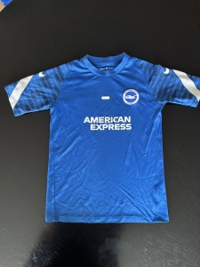Brighton & Hove Albion Kids Training Top - Nike - Size Large Youth 12-13 Yrs  for sale on Ebay