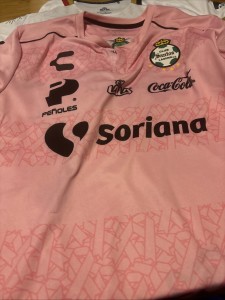 Club Santos Laguna Charly 2019/2020 Home Football Shirt Large for sale on Ebay