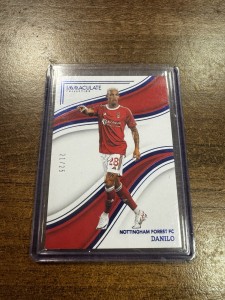 Panini Immaculate 2023 Danilo /25 Rare Parallel – Forest for sale on Ebay