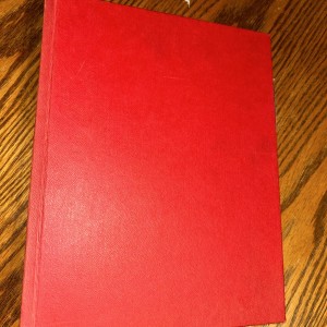 Job Lot Various Nottingham Forest Programmes 1960’s To Modern In Official Binder for sale on Ebay