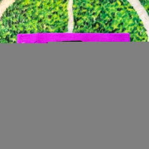 Paolo Rossi Of Italy, Juventus & AC Milan Signed Captains Armband wCOA for sale on Ebay