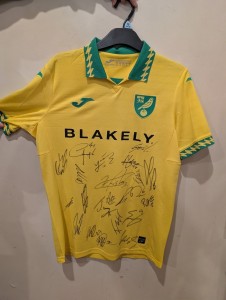 Norwich City FC Full Squad Signed Home Football Shirt 2025/26 Season - Size S for sale on Ebay
