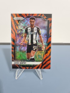 Panini Prizm 24/25 Jacob Murphy Newcastle Choice Tiger Print SP for sale on Ebay