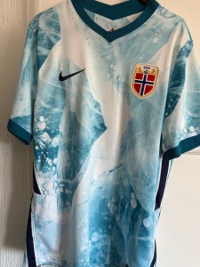 Norway 2020 Away Football Shirt Nike Ice Pattern Blue/White – Size Medium for sale on Ebay