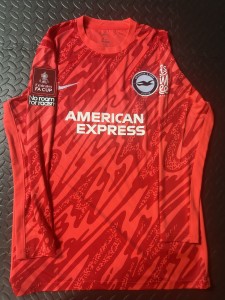 Brighton & Hove Albion 24/25 Goalkeeper Shirt for sale on Ebay