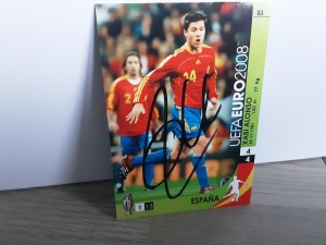 XABI ALONSO - SPAIN Signed Panini Euro 2008 Football trading card for sale on Ebay
