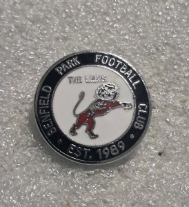 NEWCASTLE BENFIELD PARK FC BADGE for sale on Ebay