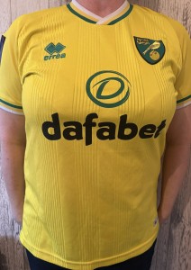 Norwich City home shirt season 2020/21 small number 10 women’s league match worn for sale on Ebay