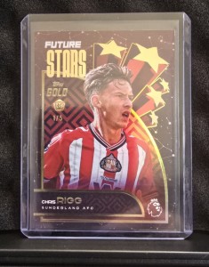 Chris Rigg Rookie SUNDERLAND 1 OF 5 Topps GOLD Trading Card for sale on Ebay