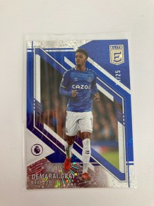 PANINI DONRUSS ELITE 21/22 DEMARAI GRAY EVERTON PARALLEL 21/25. for sale on Ebay