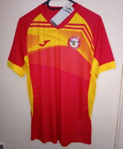 Joma Brentford FC Training Shirt Size Medium *BNWT* for sale on Ebay