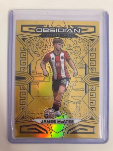 PANINI  OBSIDIAN  23/24 JAMES MCATEE SHEFFIELD UNITED  05/10.. for sale on Ebay