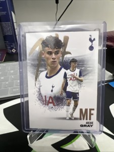 Tottenham Hotspur’s 15 Card Base Bundle Futera for sale on Ebay