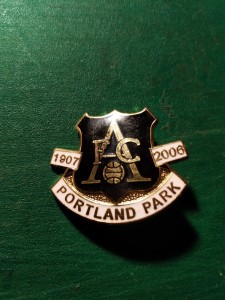 NON-LEAGUE FOOTBALL PIN BADGE ASHINGTON F.C. PORTLAND PARK  (OLD GROUND) for sale on Ebay