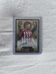 Chemsdine Talbi | Sunderland FC | Topps Gold | Autographed | /75 for sale on Ebay